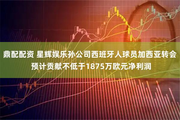 鼎配配资 星辉娱乐孙公司西班牙人球员加西亚转会 预计贡献不低于1875万欧元净利润