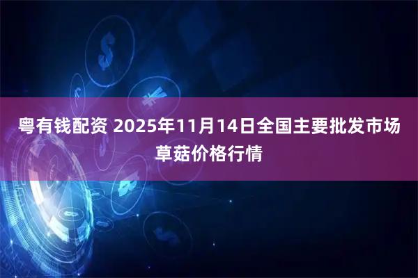 粤有钱配资 2025年11月14日全国主要批发市场草菇价格行情