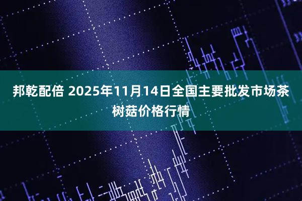 邦乾配倍 2025年11月14日全国主要批发市场茶树菇价格行情