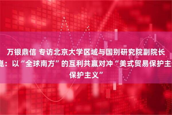 万银鼎信 专访北京大学区域与国别研究院副院长翟崑：以“全球南方”的互利共赢对冲“美式贸易保护主义”