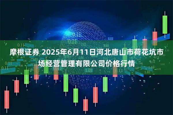 摩根证券 2025年6月11日河北唐山市荷花坑市场经营管理有限公司价格行情