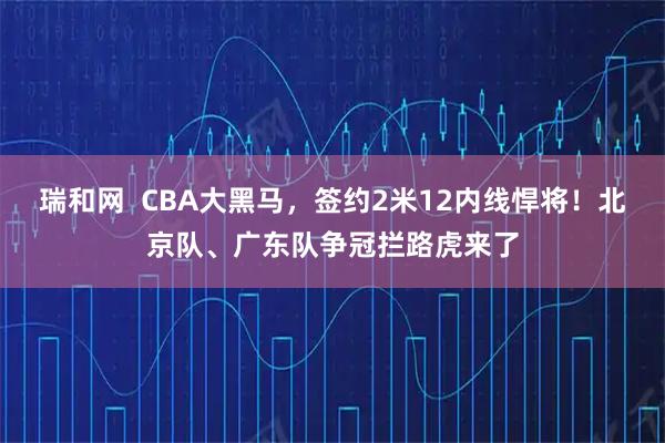 瑞和网  CBA大黑马，签约2米12内线悍将！北京队、广东队争冠拦路虎来了
